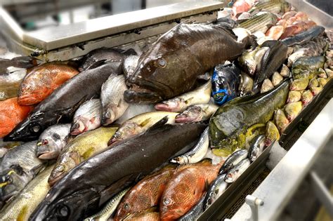 JIM'S FISH LIMITED .
